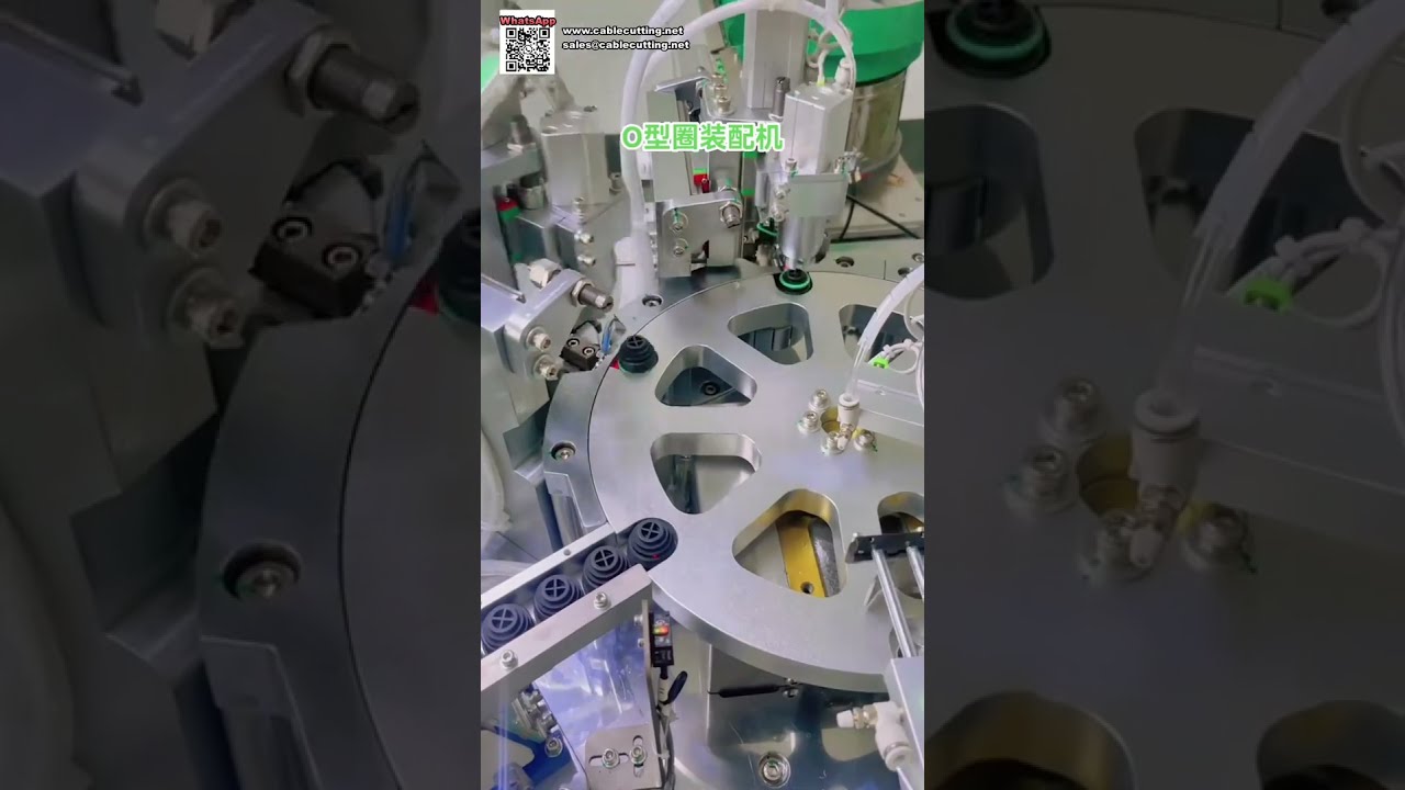O Ring Assembly Machine for Pneumatic Cylinder Components Manufacturing Factory - Shorts